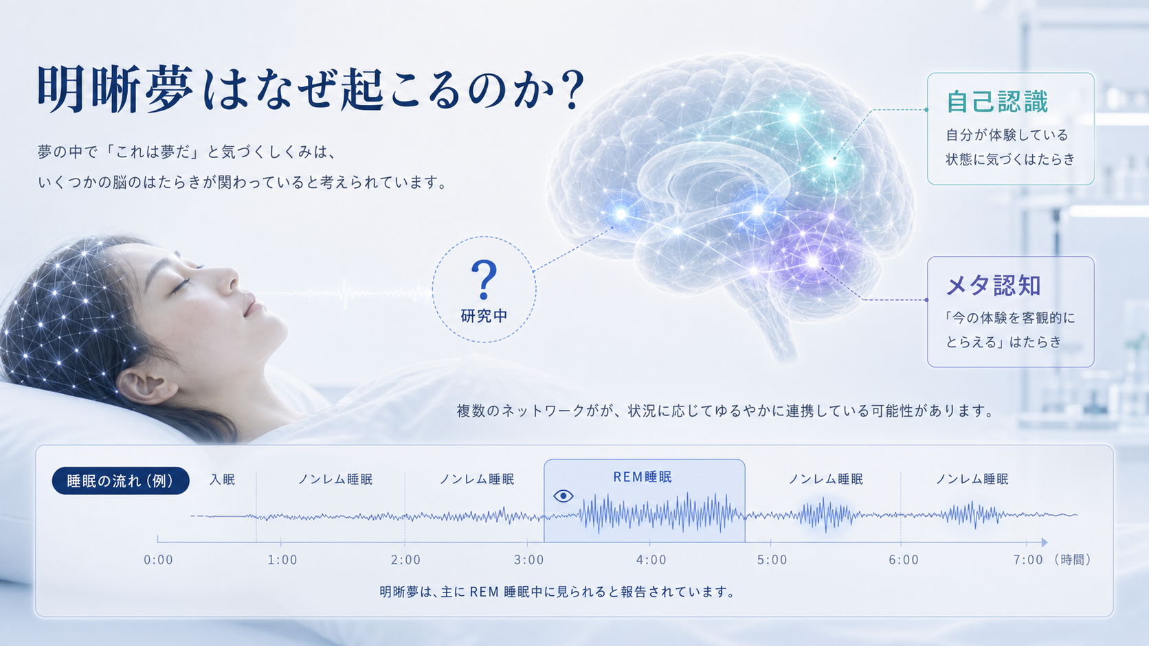REM睡眠と自己認識やメタ認知ネットワークの関与を研究中として示す図解